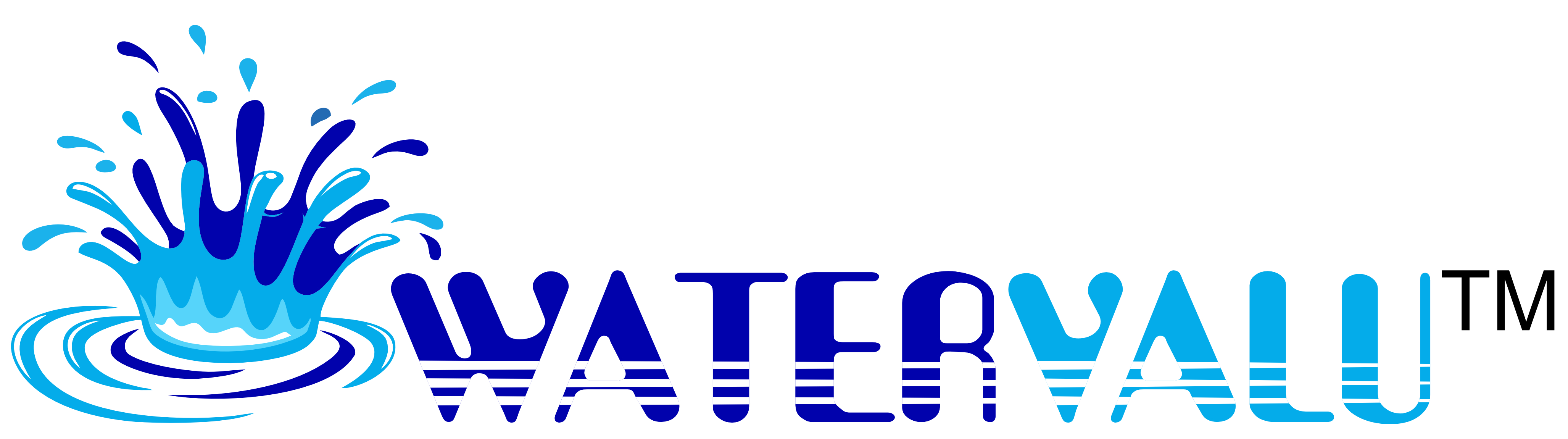 watervalu-logo